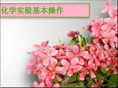 高三实验复习实验基本操作1