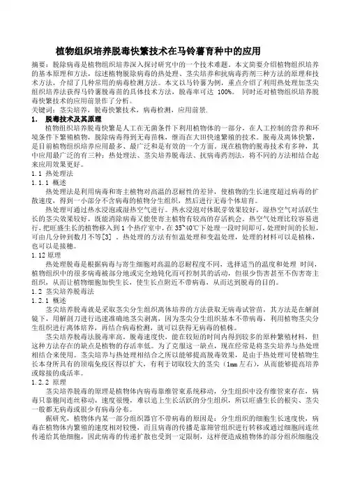 植物组织培养脱毒快繁技术在马铃薯育种中的应用