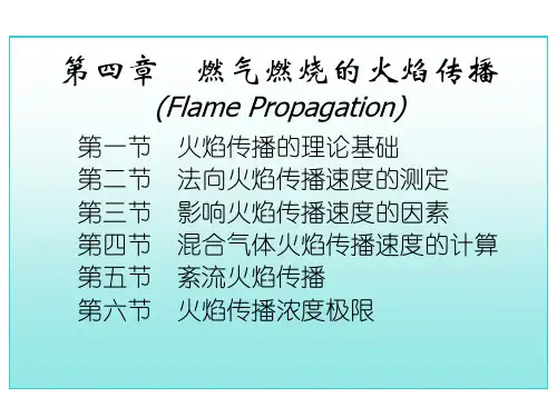 ch4 燃气燃烧的火焰传播