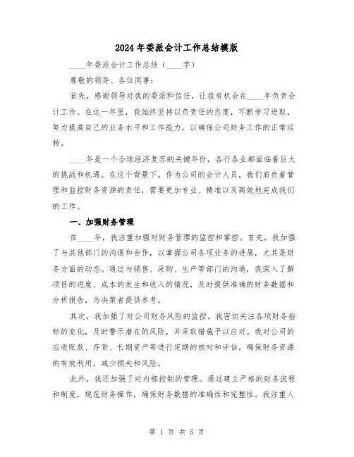 2024年委派会计工作总结模版(2篇)