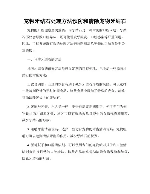 宠物牙结石处理方法预防和清除宠物牙结石