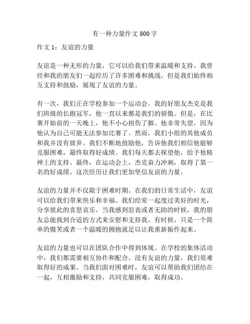 有一种力量作文800字