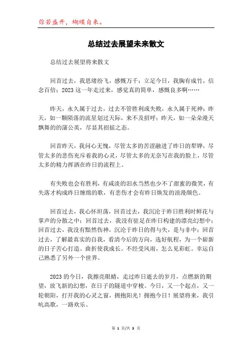 总结过去展望未来散文