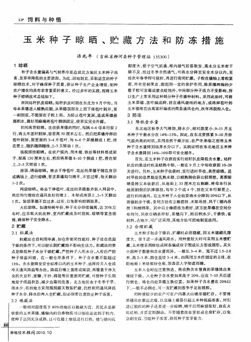 玉米种子晾晒、贮藏方法和防冻措施