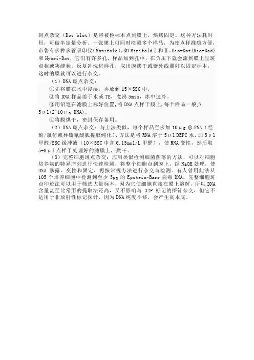 斑点杂交