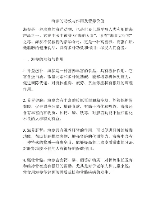 海参的功效与作用及营养价值