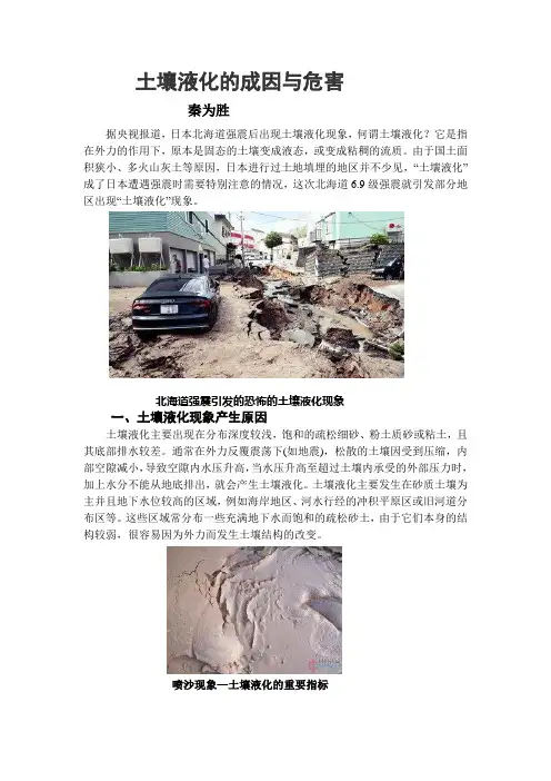 土壤液化的成因与危害
