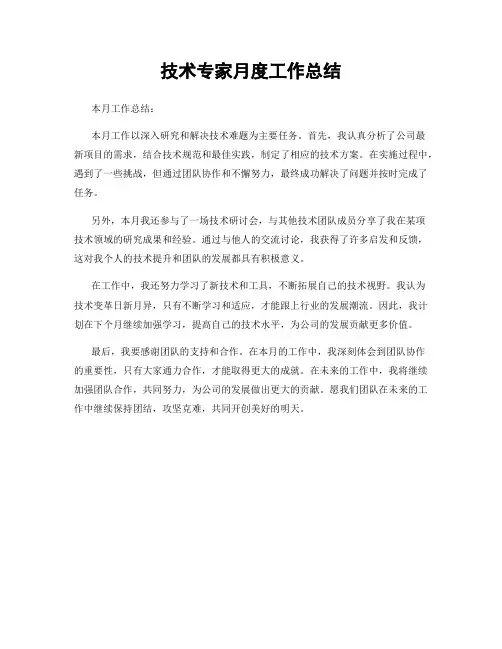技术专家月度工作总结