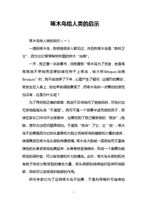 啄木鸟给人类的启示
