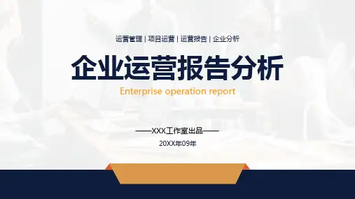 企业运营报告数据分析PPT模板