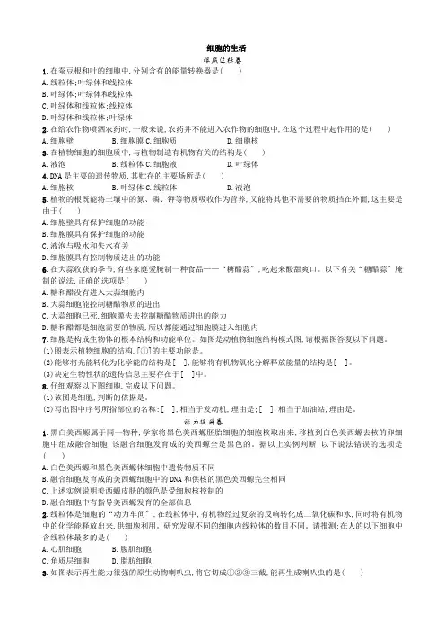(新)人教版生物七上《2.1.4 细胞的生活》同步练习附答案