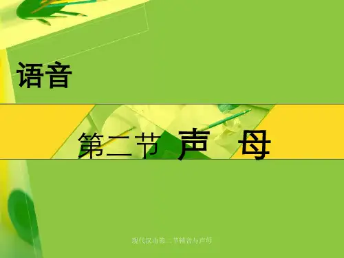 现代汉语第二节辅音与声母