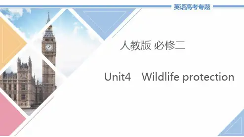 高中英语必修二Unit4《Wildlifeprotection》教学课件