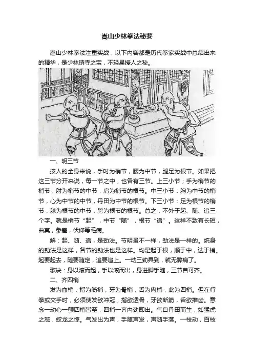 嵩山少林拳法秘要