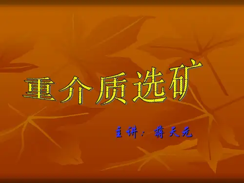 选矿-重介质选矿