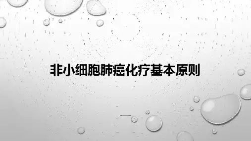 非小细胞肺癌化疗基本原则