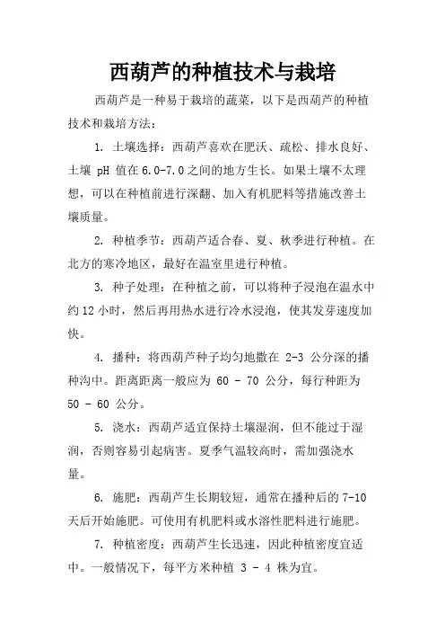 西葫芦的种植技术与栽培