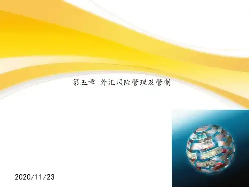 JJ05 外汇风险管理及管制图文图文课件