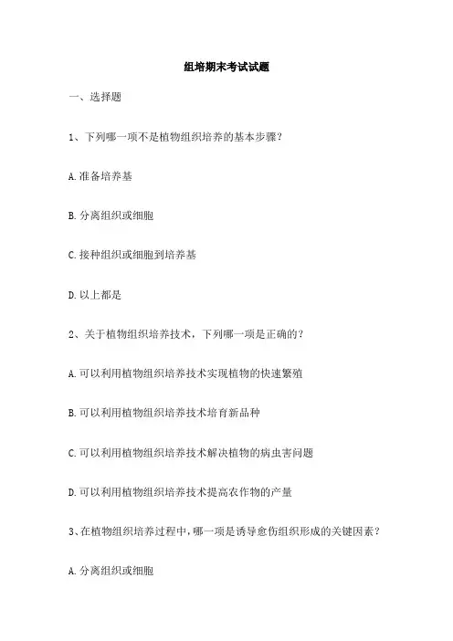 组培期末考试试题