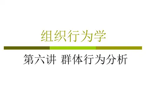 组织行为学 第六讲 群体行为分析