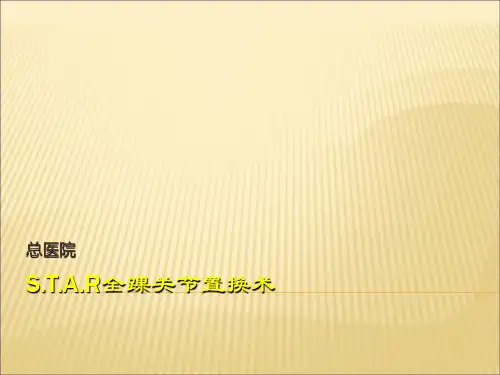 全踝关节置换术