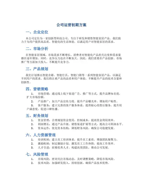 公司运营初期方案