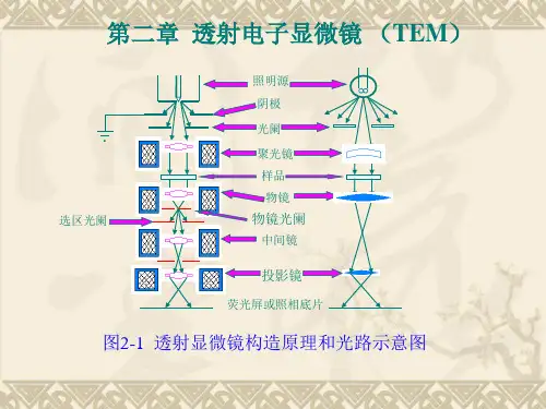 第二章  透射电子显微镜 (TEM)
