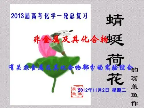 2013年高考化学一轮复习——非金属及其化合物