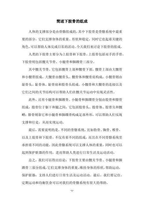 简述下肢骨的组成