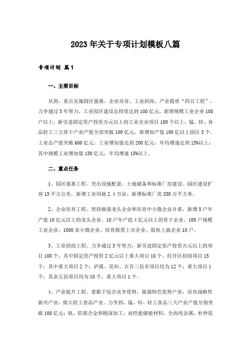 2023年关于专项计划模板八篇