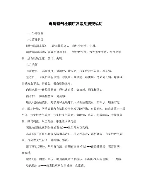 鸡病理剖检顺序及常见病变说明