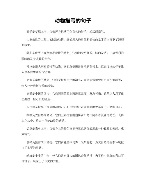 动物描写的句子