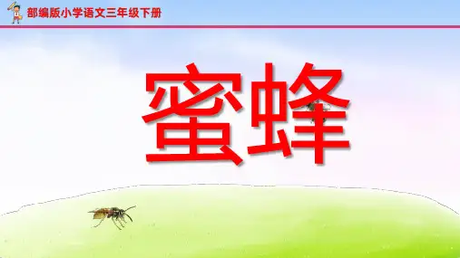 部编版 小学语文三年级下册教学课件 蜜蜂 法国作家 法布尔