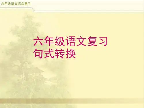 小升初语文综合复习之句式转换