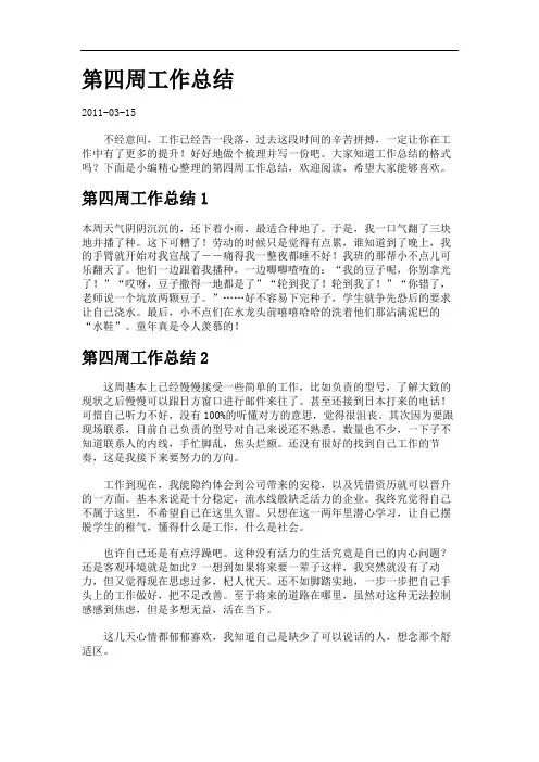 第四周工作总结报告