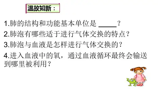 人教版七年级下册第四章第一节 流动的组织-血液 课件