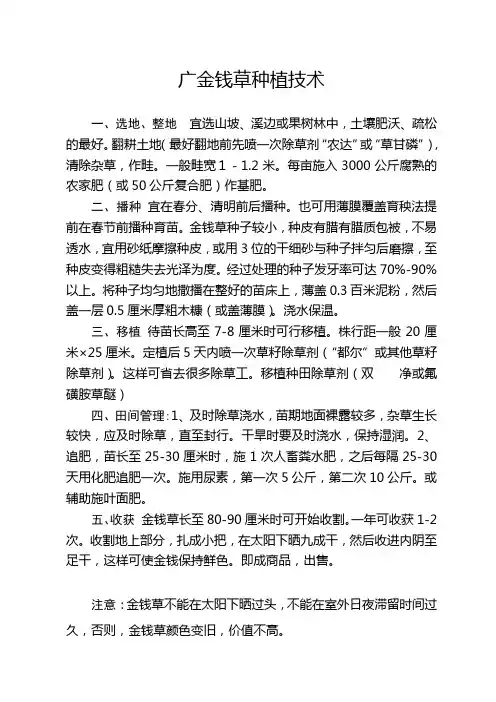 广金钱草种植技术