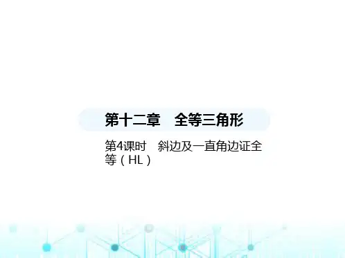 人教版八年级数学上册第十二章全等三角形12-2第4课时斜边及一直角边证全等(HL)课件