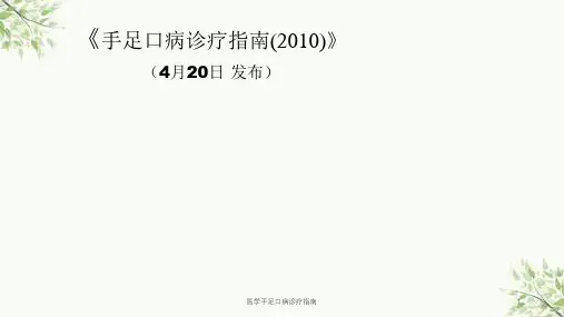 医学手足口病诊疗指南课件