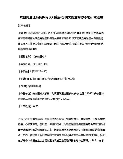 缺血再灌注损伤致内皮细胞损伤相关的生物标志物研究进展