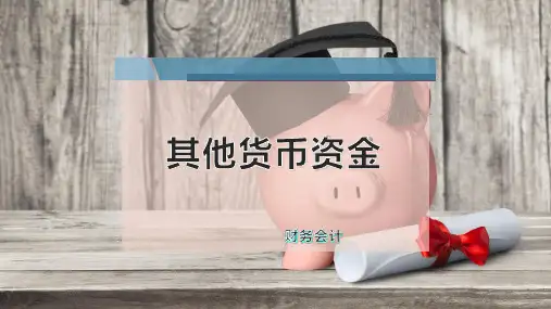 其他货币资金