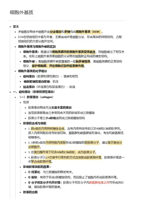 13 细胞外基质