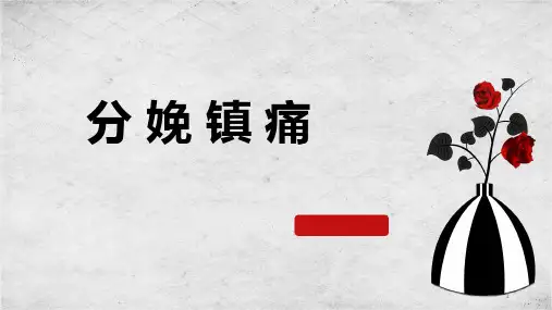 分娩镇痛PPT演示课件