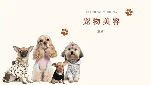 宠物美容课件(初稿)