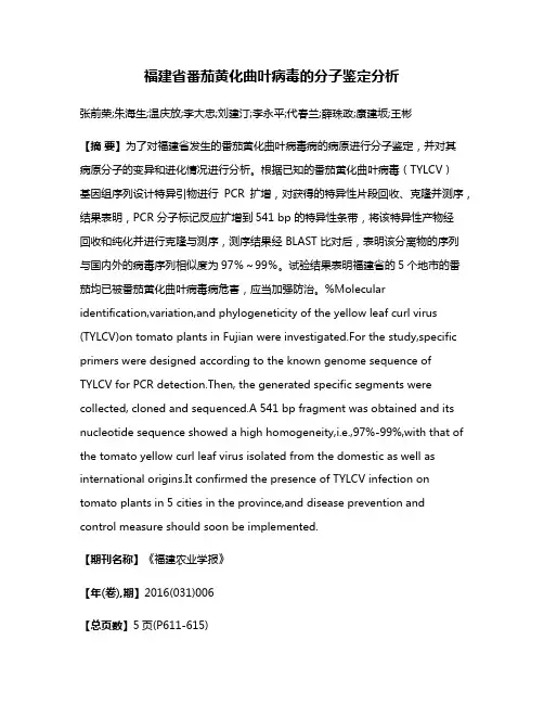 福建省番茄黄化曲叶病毒的分子鉴定分析