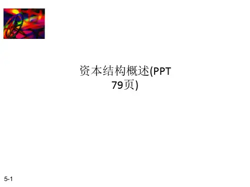 资本结构概述(PPT 79页)
