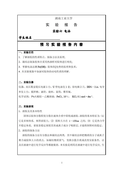 实验五 电泳实验报告样例(12.30)刘建华
