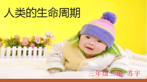 人类的生命周期