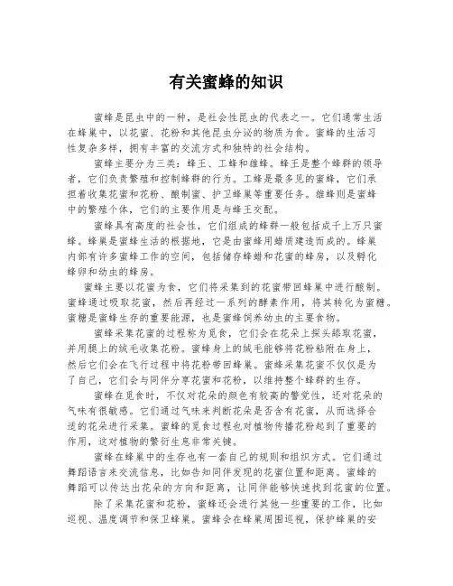 有关蜜蜂的知识
