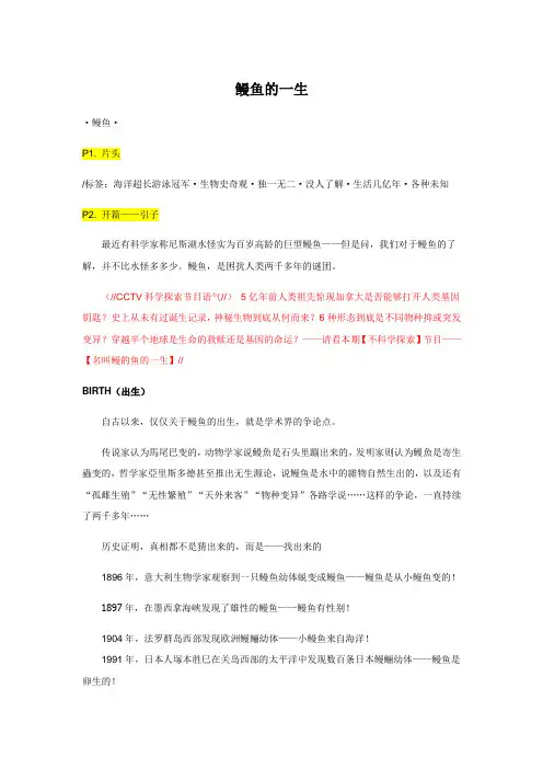 鳗鱼的一生0411